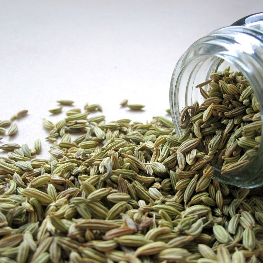 Sonf / funnels Seeds