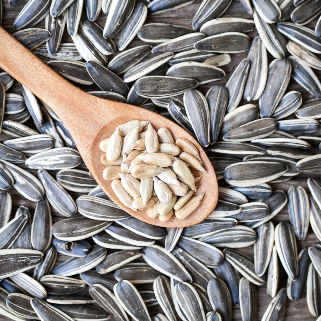 Sunflower Seeds