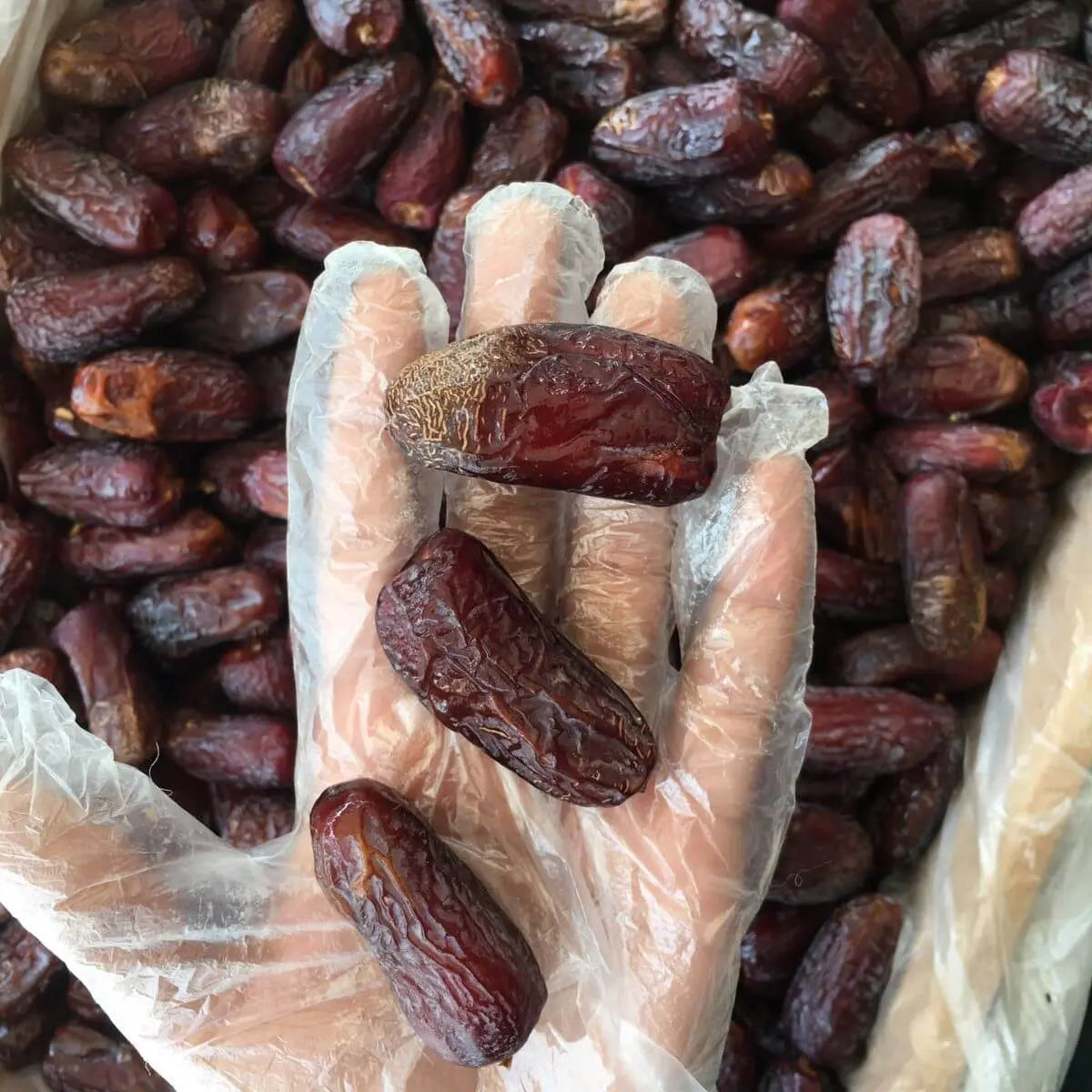 Special Amber Jumbo Date l تمر العنبر